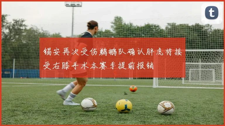 锡安再次受伤鹈鹕队确认胖虎将接受右膝手术本赛季提前报销