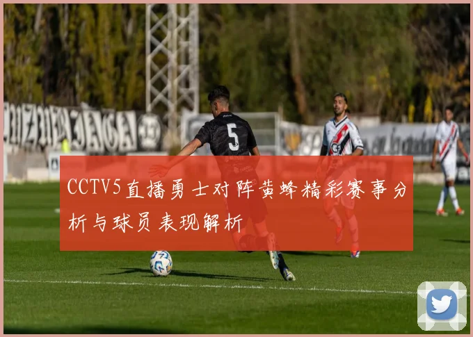 CCTV5直播勇士对阵黄蜂精彩赛事分析与球员表现解析