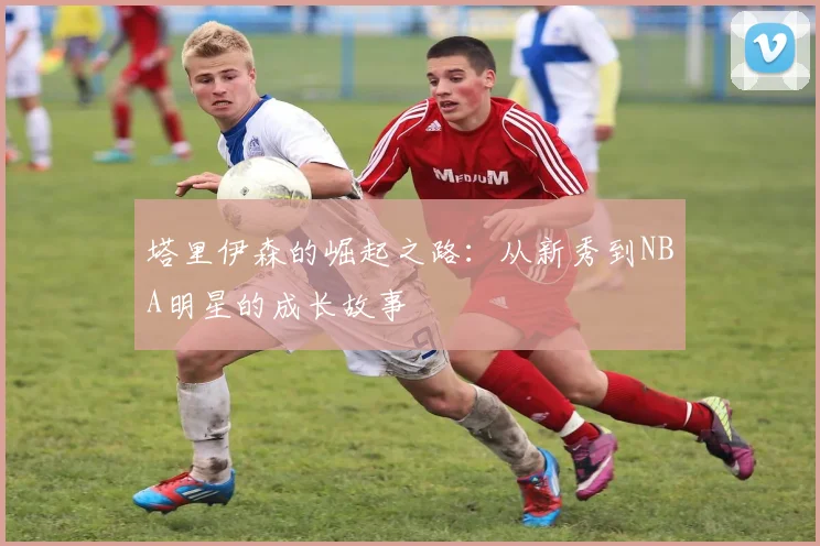 塔里伊森的崛起之路：从新秀到NBA明星的成长故事